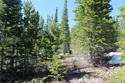 19420 Kingston Peak Road, Black Hawk, CO 80422 - Photo 15