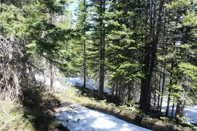 19420 Kingston Peak Road, Black Hawk, CO 80422 - Photo 31