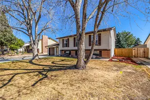 1356 Dexter St, Broomfield, CO 80020 - Photo 33