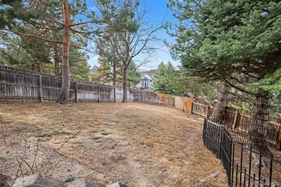 1415 Pinyon Drive, Castle Rock, CO 80104 - Photo 41