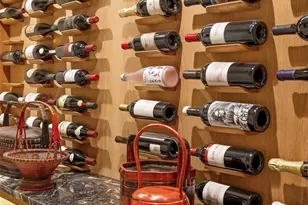 395 N Franklin St, Denver, CO 80218 - Photo 37