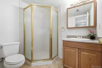5054 Ashbrook Circle, Highlands Ranch, CO 80130 - Photo 41