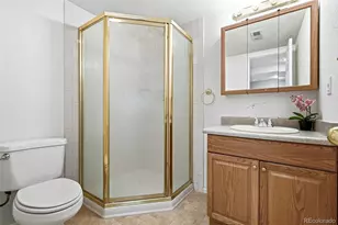 5054 Ashbrook Cir, Highlands Ranch, CO 80130 - Photo 41