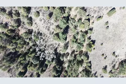 2050 Coyote Spur, Golden, CO 80403 - Photo 37