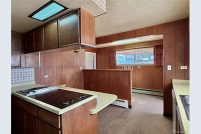 421 W 8th Street, Leadville, CO 80461 - Photo 13