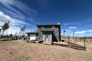 2504 Sharbaugh Ln, Fort Garland, CO 81133 - Photo 3