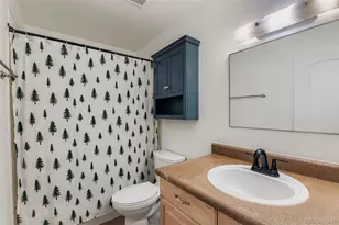 4639 S Lowell Blvd, Denver, CO 80236 - Photo 9