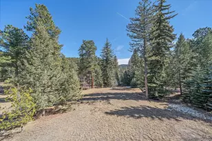 9948 S Turkey Creek Rd, Morrison, CO 80465 - Photo 49