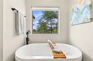 168 Spade Pl, Jefferson, CO 80456 - Photo 21