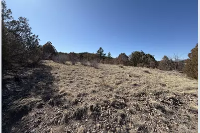 3412 Indian Wells Road, Cotopaxi, CO 81223 - Photo 5