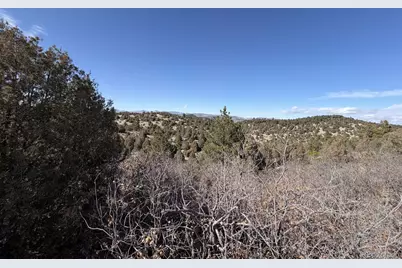 3412 Indian Wells Road, Cotopaxi, CO 81223 - Photo 13