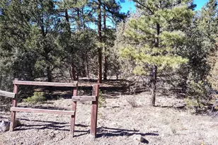 265 Alden Ln, Cotopaxi, CO 81223 - Photo 1