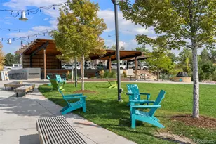 20 Wilcox St, Castle Rock, CO 80104 - Photo 41