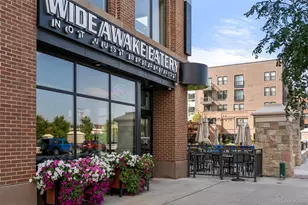 20 Wilcox St, Castle Rock, CO 80104 - Photo 43