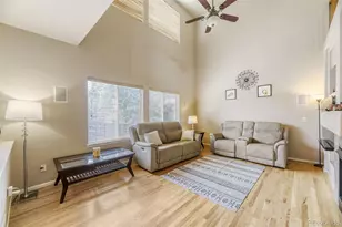 10093 Eagle Valley Way, Highlands Ranch, CO 80129 - Photo 9