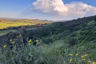 7672 Elmwood St, Littleton, CO 80125 - Photo 37