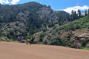 7672 Elmwood St, Littleton, CO 80125 - Photo 39