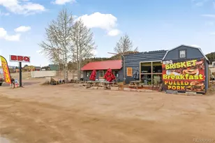 39550 US Hwy 24, Lake George, CO 80827 - Photo 45