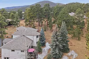 1513 Belford Ct, Evergreen, CO 80439 - Photo 45