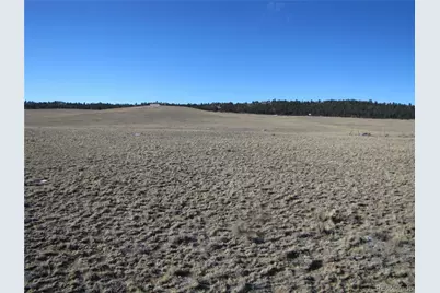 642 N Margaret Place, Hartsel, CO 80449 - Photo 9