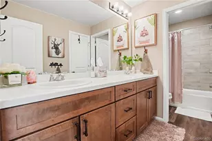 6138 Long Branch Dr, Parker, CO 80134 - Photo 27