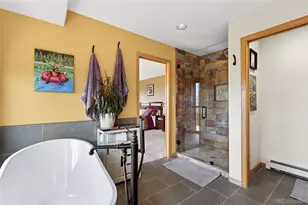 31547 Conifer Mountain Dr, Conifer, CO 80433 - Photo 29