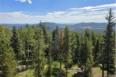 31547 Conifer Mountain Drive, Conifer, CO 80433 - Photo 25