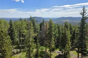 31547 Conifer Mountain Dr, Conifer, CO 80433 - Photo 25