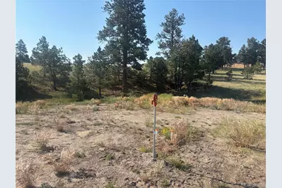 32147 Waylongood Point, Kiowa, CO 80117 - Photo 11