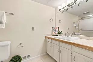 6356 S Glencoe Ct, Centennial, CO 80121 - Photo 37