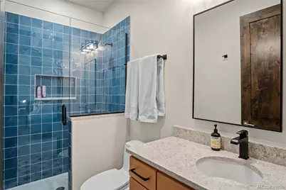 110 Windflower Lane, Frisco, CO 80443 - Photo 41