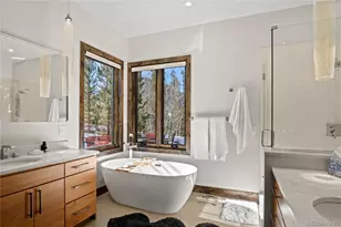 110 Windflower Ln, Frisco, CO 80443 - Photo 29