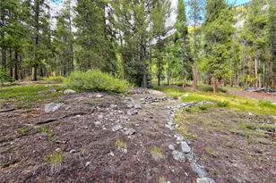 16101 Rob Roy Ms Mc, Nathrop, CO 81236 - Photo 35