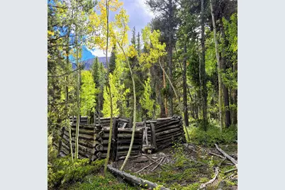 16101 Rob Roy Ms Mc, Nathrop, CO 81236 - Photo 43
