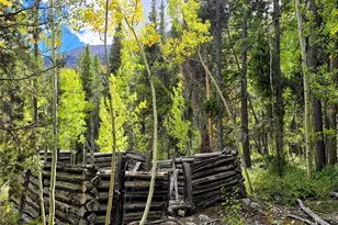 16101 Rob Roy Ms Mc, Nathrop, CO 81236 - Photo 43