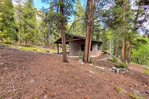 16101 Rob Roy Ms Mc, Nathrop, CO 81236 - Photo 37