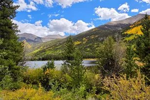 16101 Rob Roy Ms Mc, Nathrop, CO 81236 - Photo 45