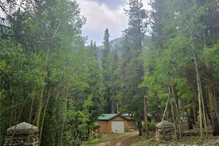 16101 Rob Roy Ms Mc, Nathrop, CO 81236 - Photo 5