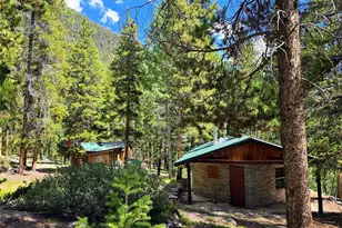 16101 Rob Roy Ms Mc, Nathrop, CO 81236 - Photo 3
