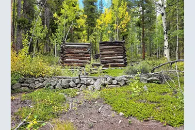 16101 Rob Roy Ms Mc, Nathrop, CO 81236 - Photo 39