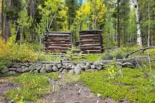 16101 Rob Roy Ms Mc, Nathrop, CO 81236 - Photo 39