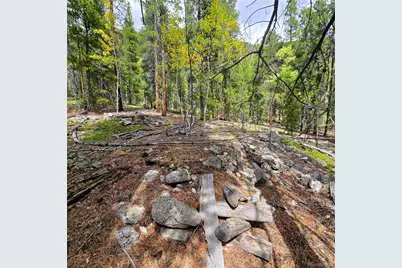 16101 Rob Roy Ms Mc, Nathrop, CO 81236 - Photo 41