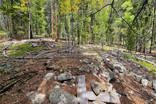 16101 Rob Roy Ms Mc, Nathrop, CO 81236 - Photo 41