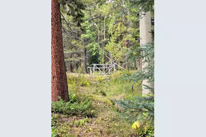 16101 Rob Roy Ms Mc, Nathrop, CO 81236 - Photo 25