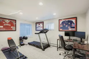 10672 Hyacinth St, Highlands Ranch, CO 80129 - Photo 19