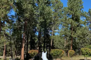 8094 E State Hwy 86, Franktown, CO 80116 - Photo 11