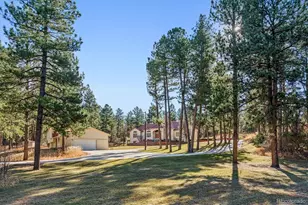 8094 E State Hwy 86, Franktown, CO 80116 - Photo 45