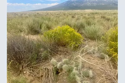 Lot 10 Ll 9th Street, Blanca, CO 81123 - Photo 11