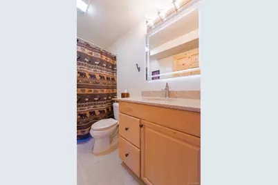 272 Coil Drive, Fairplay, CO 80440 - Photo 27