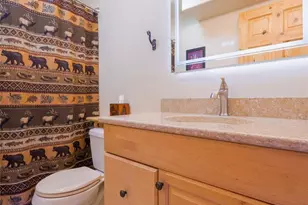 272 Coil Dr, Fairplay, CO 80440 - Photo 27